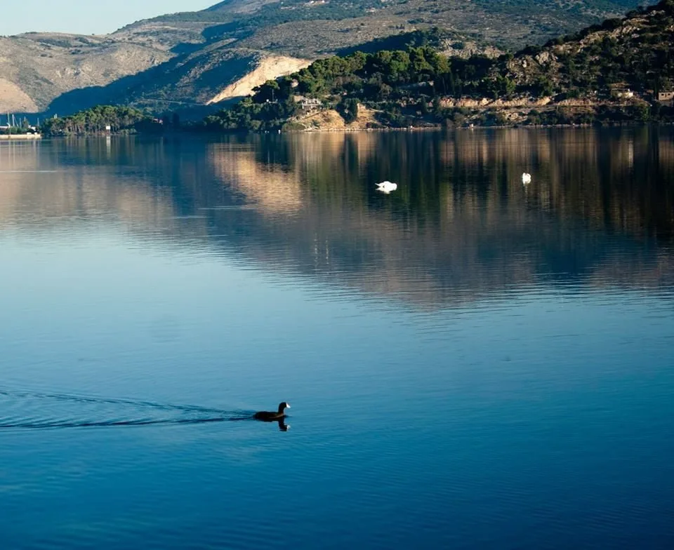 Koutavos watersports scene